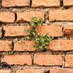 Can you put siding over brick? Discover the pros, cons, and how-to of installing siding over brick for a refreshed exterior look and better insulation.
