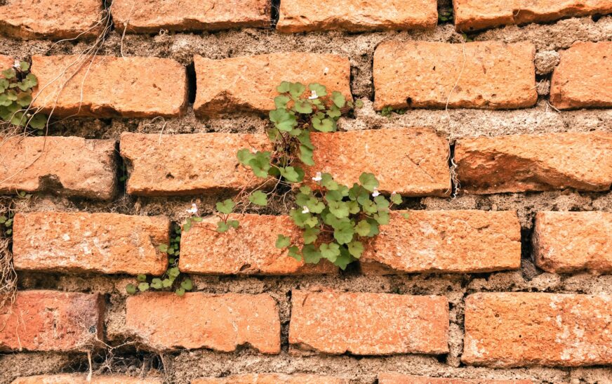 Can You Put Siding Over Brick? What Homeowners Need to Know