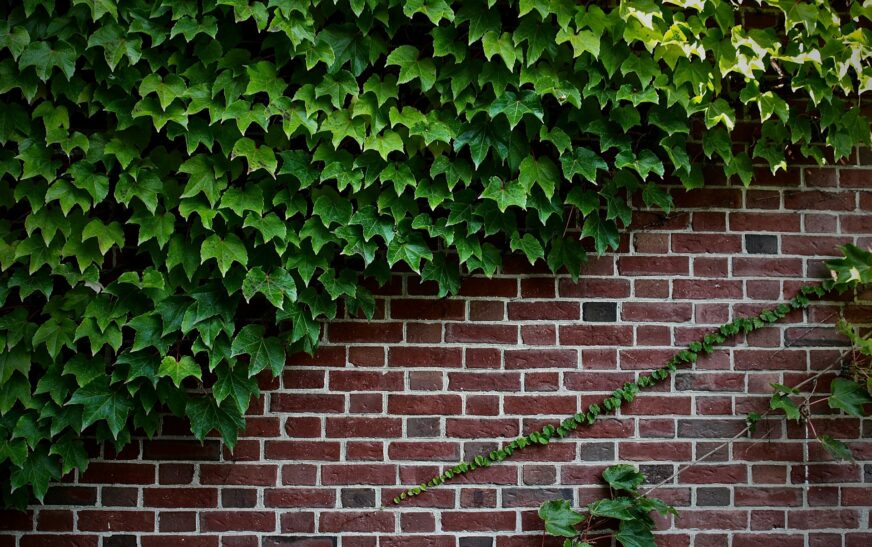 Why Shouldn’t You Paint Brick?