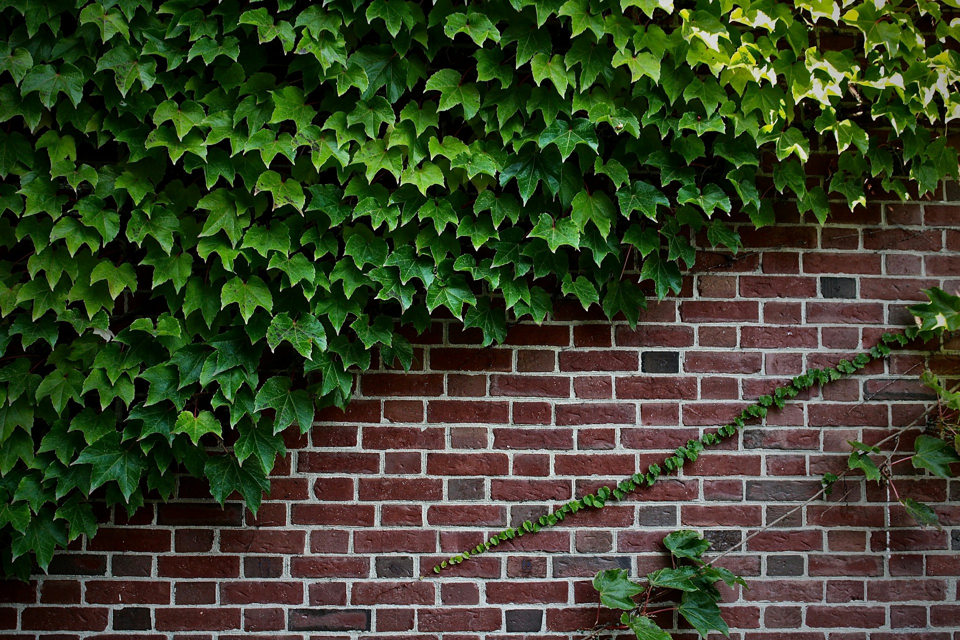 Why Shouldn’t You Paint Brick?